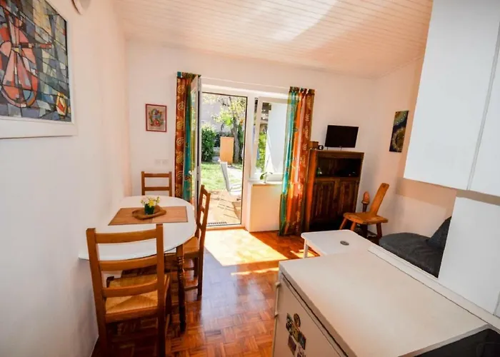 Palme *